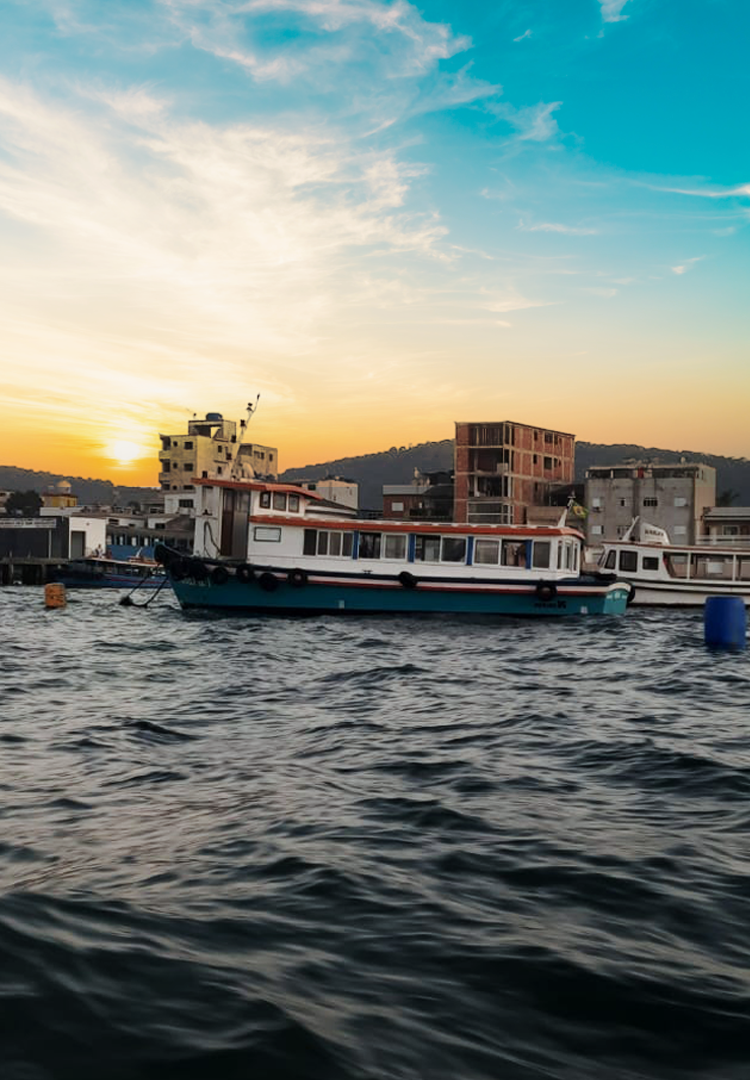 BG-nossos-servicos-750x1080 BG-nossos-servicos-750x1080