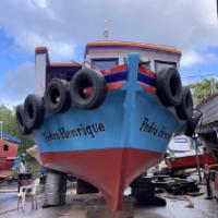 Pedro-Henrique