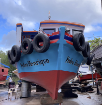 Pedro-Henrique